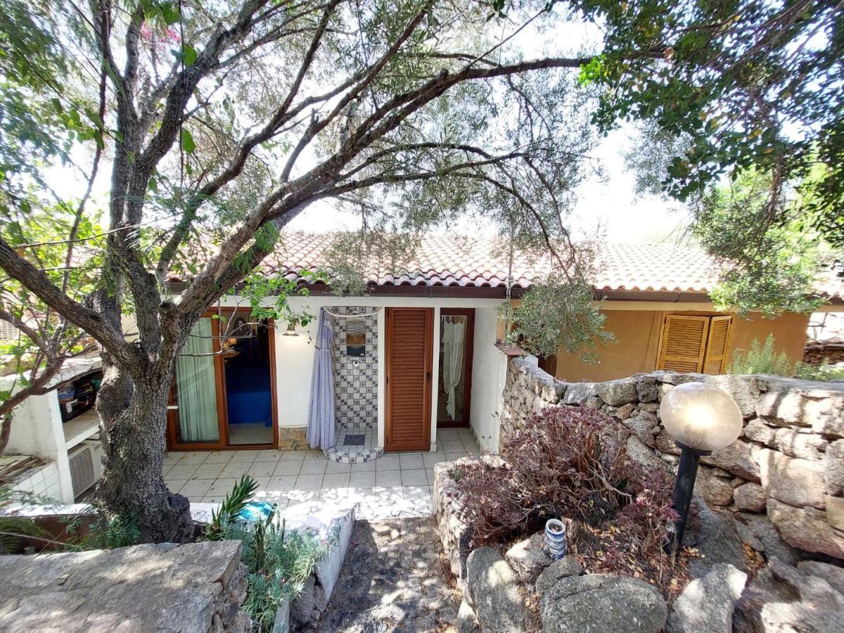 Terranoa By Interhome Apartment